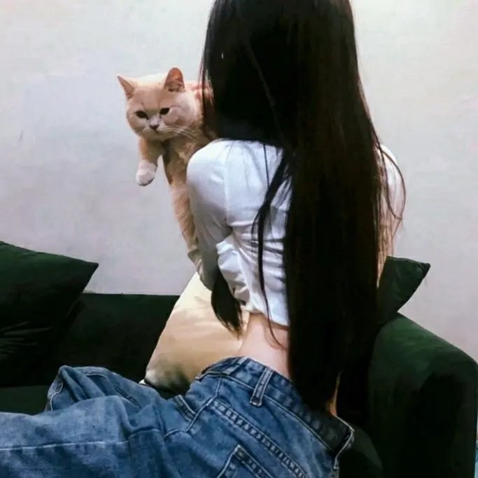 电视拍手者